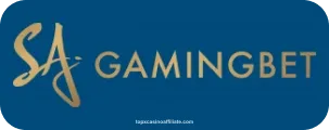 Gaming Bet Partner